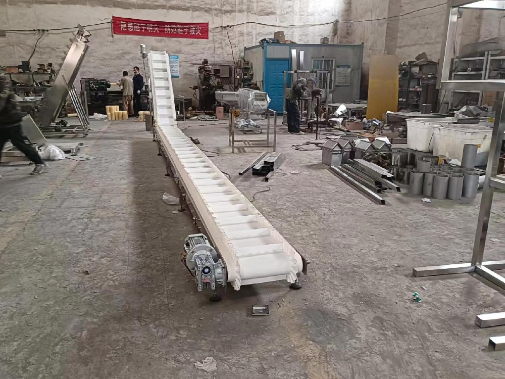 延邊Z型裙邊皮帶給料機